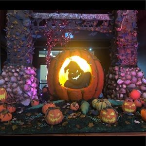 Meet your Posher, Alejandra